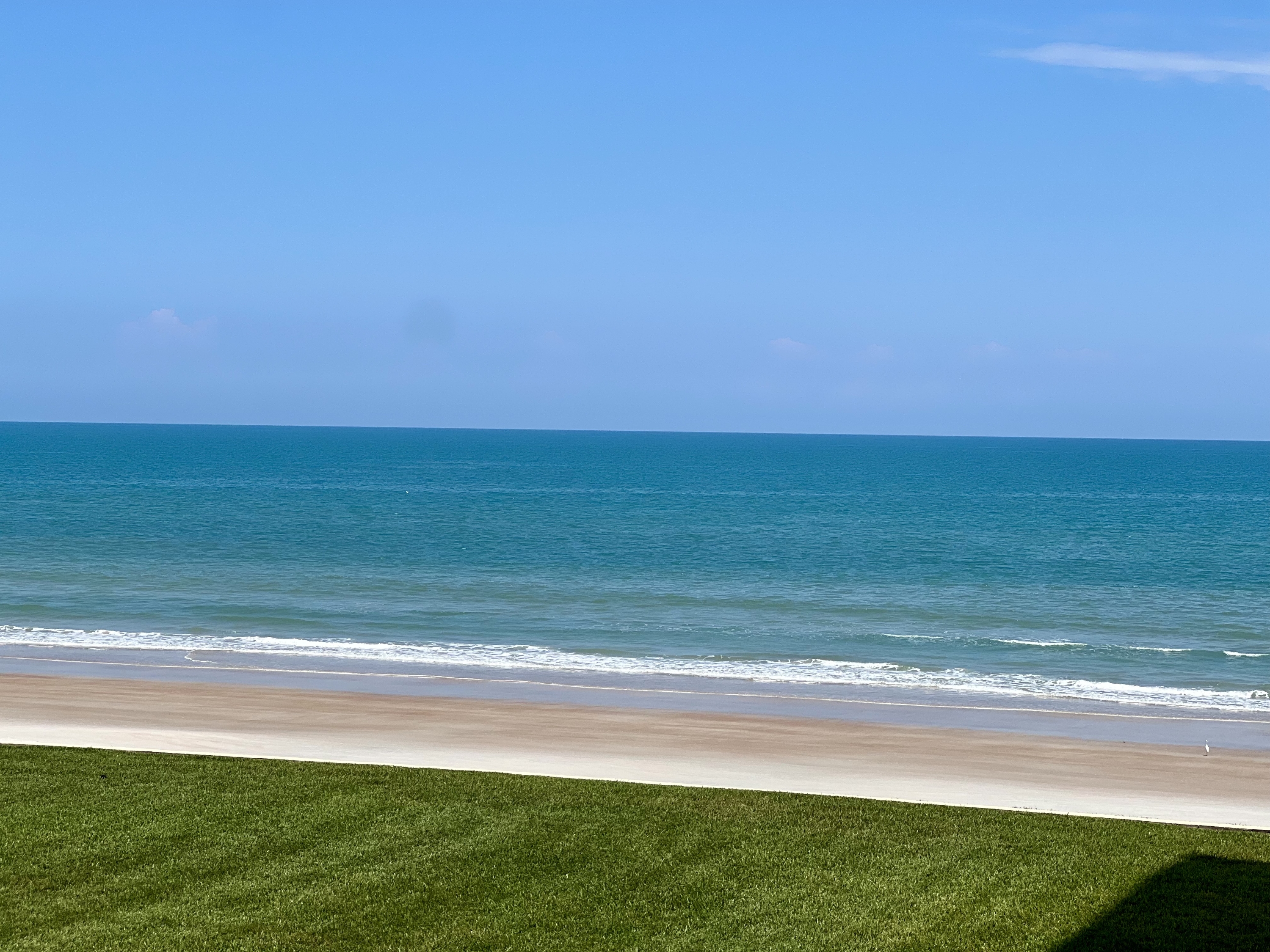 4565 South Atlantic Avenue unit 5203 - 1
